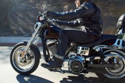 Harley-Davidson Low Ride [.]