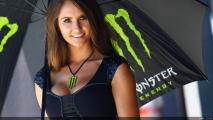 brünettes WSBK Babe aus [.]