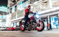 Ducati Monster 797 2017