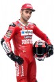 Ducati MotoGP Team 2019