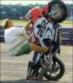 Fat Honda CBR Wheelie