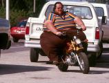 Fat Honda Monkey Rider