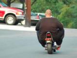 Fat Lowrider