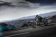 Kawasaki Z1000 in Action