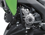 Kawasaki Z125 2016