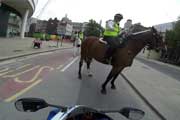 London Wheelie von Polizei mit Pferd gestoppt