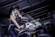 MotoGP Gridgirls und Paddock Girls 2017 Austin