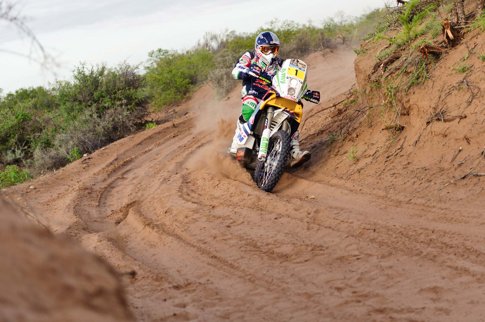 2011 Rallye Dakar